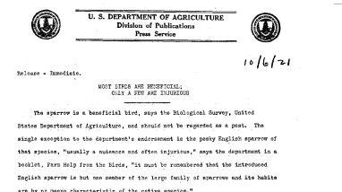 Most Birds Are Beneficial: Only A Few Are Injurious October 6, 1921