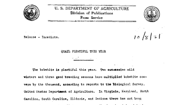 Quail Plentiful This Year October 8, 1921