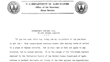 Government Hunters Kill 80,000 Animal Bandits November 8, 1922