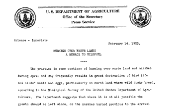 Burning Over Waste Lands A Menace to Wildfowl February 14, 1923