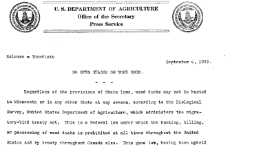 No Open Season on Wood Duck September 4, 1923