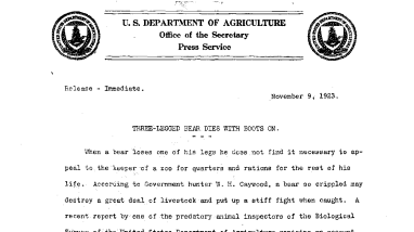 Three-Legged Bear Dies With Boots on November 9, 1923