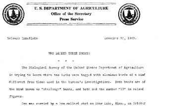 Wjo Banded These Ducks? November 30, 1923