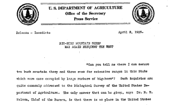 Big-Horn Mountain Sheep May Again Frequent the West April 8, 1925