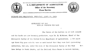 Government Now Has Buffalo Trophies for Sale April 15, 1925
