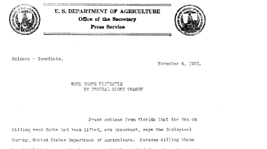 Wood Ducks Protected by Federal Close Season November 6, 1925
