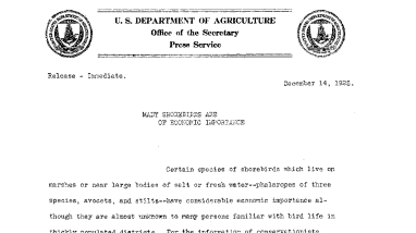 Many Shorebirds Are of Economic Importance December 14, 1925