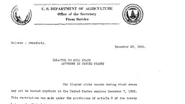 Unlawful to Kill Swans Anywhere in United States December 23, 1925