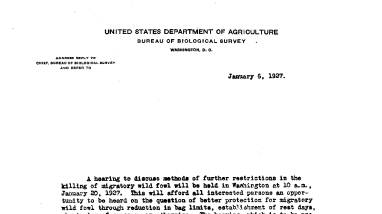 Hearing on Migratory Wildfowl January 6, 1927