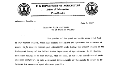 Cause of "Duck Sickness" to Be Further Studied July 7, 1927