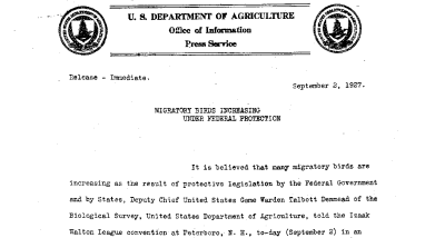 Migratory Birds Increasing Under Federal Protection September 2, 1927