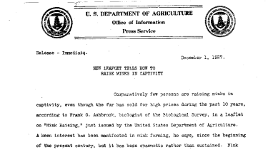 New Leaflet Tells How to Raise Minks in Captivity December 1, 1927