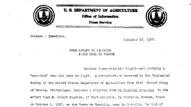Tern Banded in Labrador Found Dead in France December 23, 1927