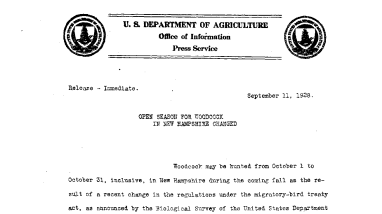 Open Season for Woodcock in New Hampshire Changed September 11, 1928