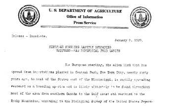 Eurpoean Starling Rapidly Sreading Westward--Has Benificial Food Habiits January 5,1929