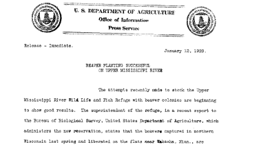 Beaver Planting Successful on Upper Mississippi River January 12,1929