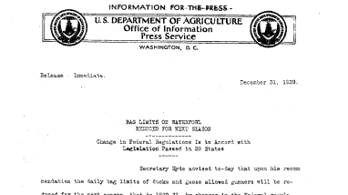 Bag Limits on Waterfowl Reduced for Next Season December 31, 1929