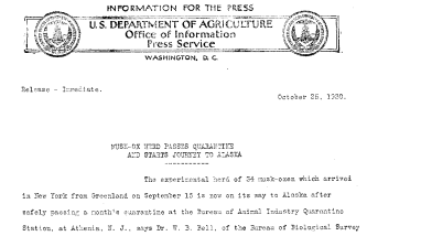 Musk-Ox Herd Passes Quarantine and Starts Journey to Alaska October 25, 1930