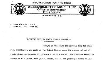Waterfowl Hunting Season Closes January 31 January 27, 1931