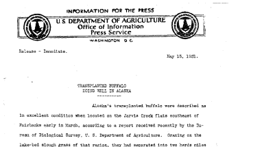 Transplanted Buffalo Doing Well in Alaska May 15, 1931