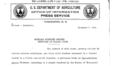 Michigan Scientist Reports Protozoan Is Killing Ducks November 5,1931