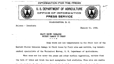 Heavy Snows Threaten Rodent Damage to Trees January 11, 1933b