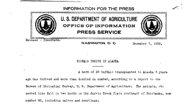 Buffalo Thrive in Alaska December 7, 1933