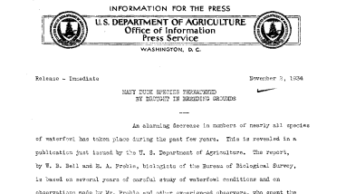 Many Duck Species Threatened by Drought in Breeding Grounds November 2, 1934