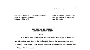 Seek Helpers in Feeding Icebound Starving Ducks February 12, 1936