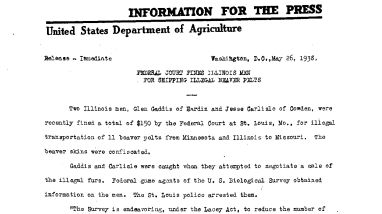 Federal Court Fines Illinois Men for Shipping Illegal Beaver Pelts May 26, 1938-C
