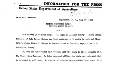 Killing Protected Ducks Costs 4 Months in Jail July 29, 1938