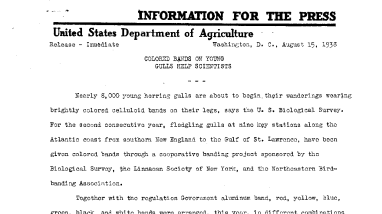 Colored Bands on Young Gulls Help Scientists August 15, 1938