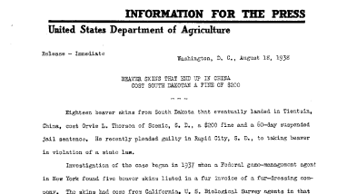 Beaver Skins Taht End up in China Cost South Dakota A Fine of $200 August 18, 1938