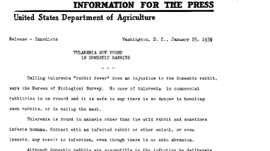 Tularemia Not Found in Domestic Rabbits January 25, 1939