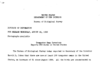 Trumpeter Swan Inventory Reports 200 Birds in United States August 30, 1939