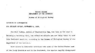 Wild Turkeys November 6, 1939