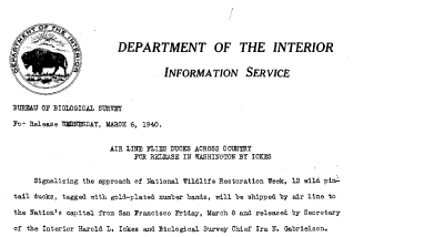 Airline Flies Ducks Across Country for Release in Washington by Ickes March 6, 1940
