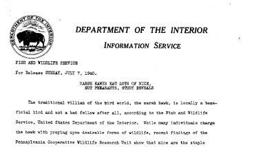 Marsh Hawks Eat Lots of Mice, Not Pheasants, Study Reveals July 7, 1940 B