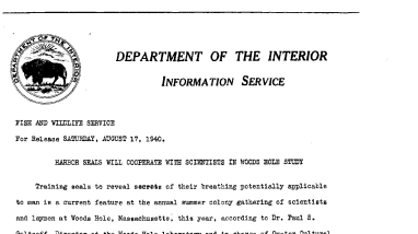 Harbor Seals Will Cooperate With Scientists in Woods Hole Study August 17, 1940