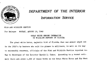 Great White Herons Increasing on Wildlife Refuges in Florida August 19, 1940 B