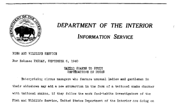 Tattoo Snakes to Study Depredations on Ducks September 6, 1940 A