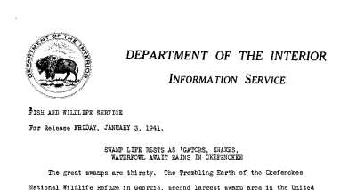 Swamp Life Rests as 'Gators, Snakes, Waterfowl Await Rains in Okefeenokee January 3, 1941-B