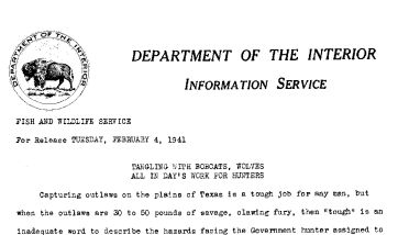Tangling With Bobcats, Wolves All in Day's Work for Hunters February 4, 1941-A