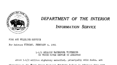 1 1/2 Million Waterfowl Wintering on White River Refuge in Arkansas February 4, 1941-B