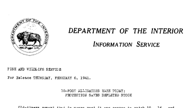 15-Foot Alligators Rare Today; Protection Saves Depleted Stock February 6, 1941