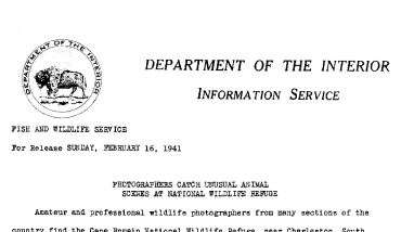 Photographers Catch Unusal Animal Scenes at National Wildlife Refuges February 16, 1941