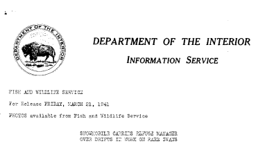 Snowmobile Carries Refuge Manager Over Drifts in Work on Rare Swans March 21, 1941-B