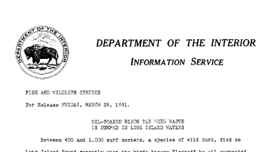 Oil-Soaked Birds Die When Waste Is Dumped in Long Island Waters March 28, 1941-B