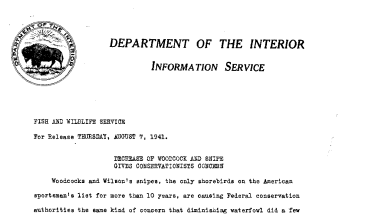 Decrease of Woodcock and Snipe Gives Conservationists Concern August 07, 1941