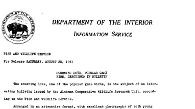 Mourning Dove, Popular Game Bird, Descried in Bulletin August 30, 1941
